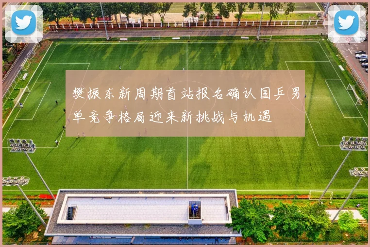 樊振东新周期首站报名确认国乒男单竞争格局迎来新挑战与机遇